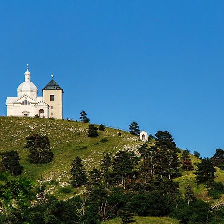 Penzion Terasa Cibulka 米库洛夫 外观 照片